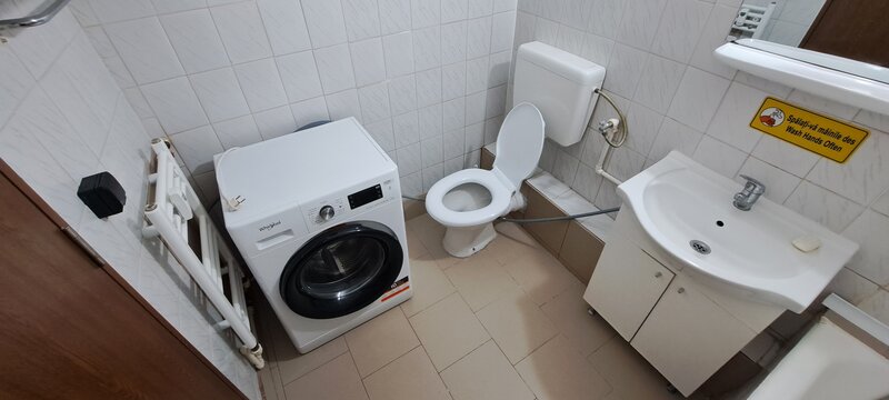 Basarabia, Nicolae Sebe