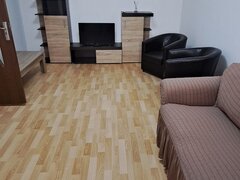 Basarabia, Nicolae Sebe